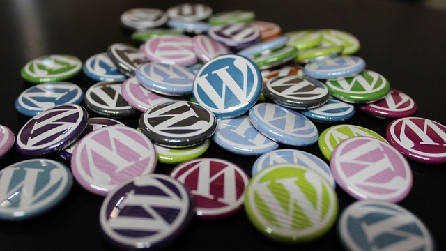 Porqué es necesario mejorar la velocidad de WordPress